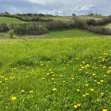 בית נופש Rinkenaeshus B *