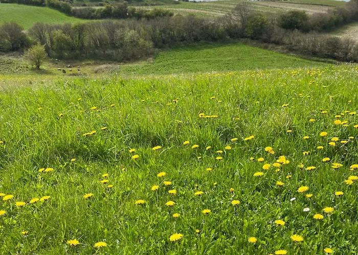 別荘 Rinkenaeshus B *